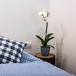 Appartement Haus Silvretta Nova Tschagguns