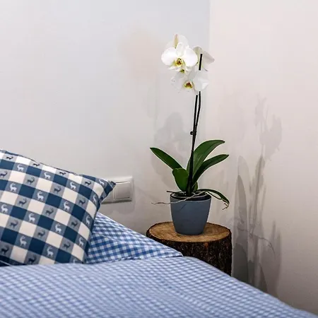 公寓 Haus Silvretta Nova 查贡斯