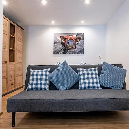 Haus Silvretta Nova 公寓 *
