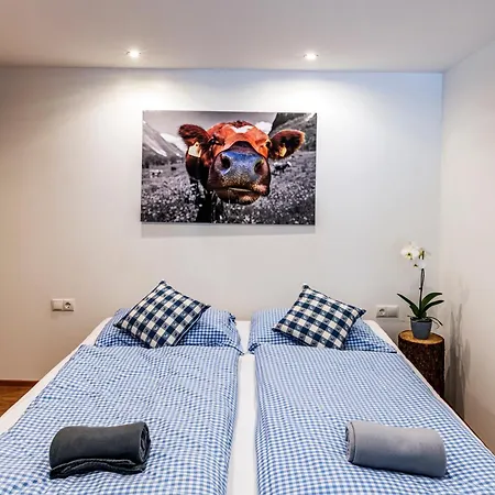 Haus Silvretta Nova *